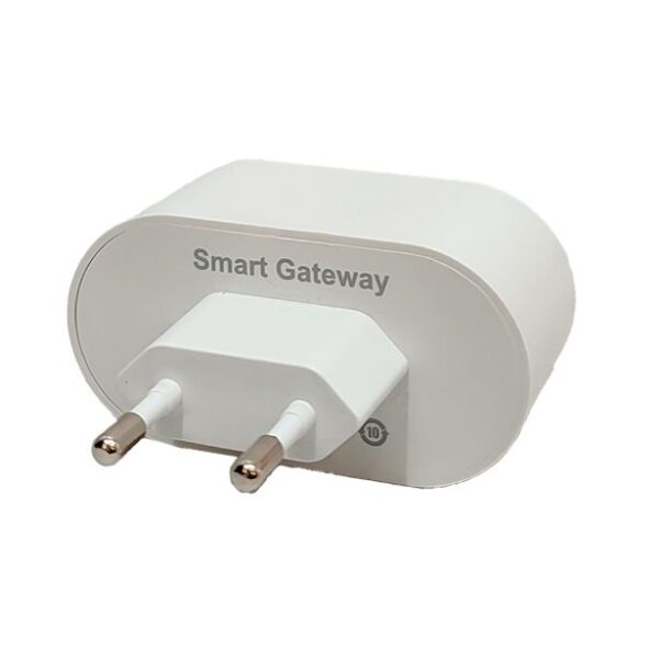 هاب زیگبی دو شاخه ای